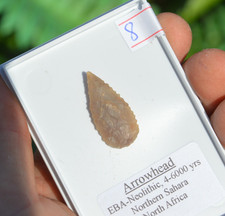 HIGH GRADE PREHISTORIC/