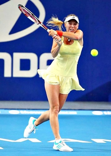 Tennis dress shorts - shorts., adidas