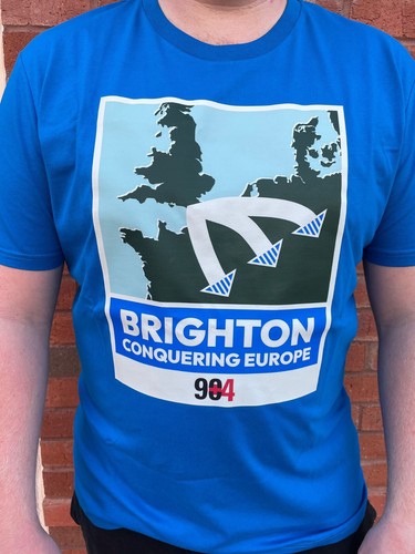 Brighton hove albion - brighton, &
