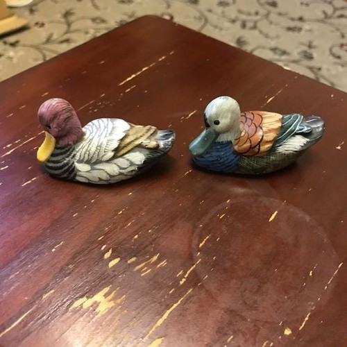 Miniature duck animal toys - miniature,