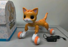 Orange Zoomer Kitty