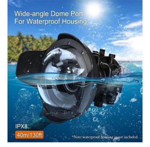 Sea frogs dry dome - frogs,