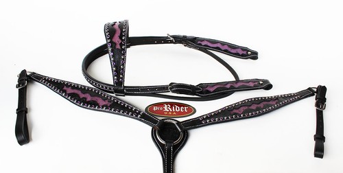 Horse show tack bridle - horse,
