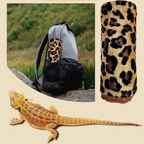 Bearded dragon bed with - with, pillow