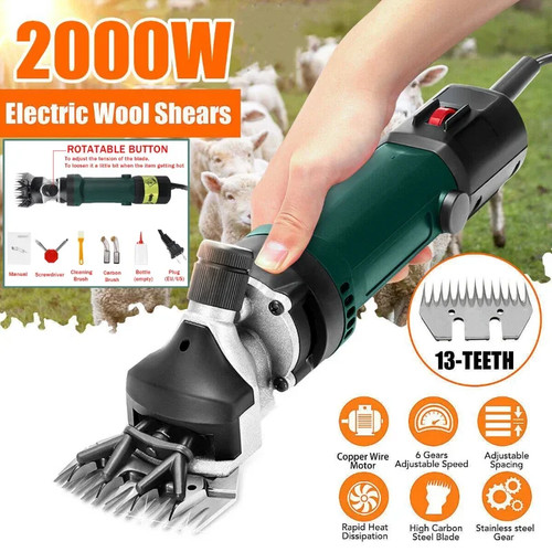 2000w speed teeth - 2000w,