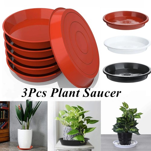 Plant pot saucers round - plant,