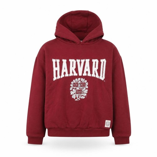 Harvard boys pullover hoodie - boys,