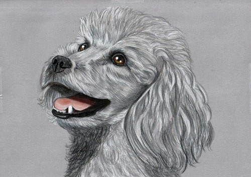 Original colour pencil - , artwork