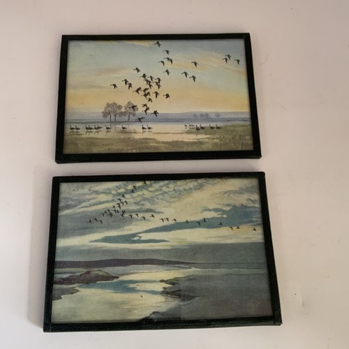 Framed prints peter scott - prints,