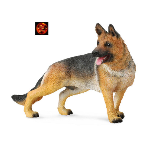 German shepherd alsatian dog - german,