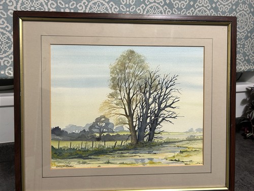 Stunning framed original - framed,