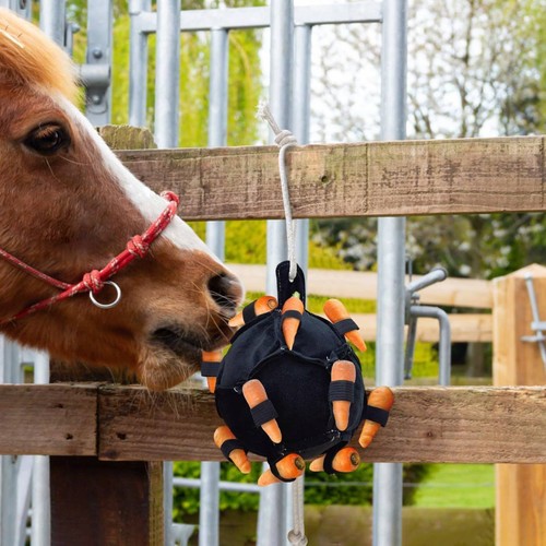 Horse feeding training ball - feeding,
