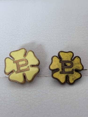 Primrose league vintage enamel - primrose,
