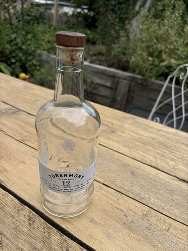 Empty whiskey bottle - empty,