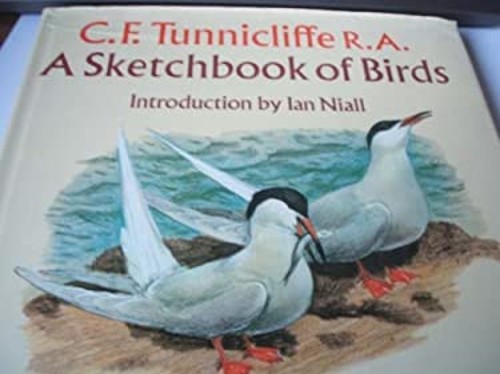 Sketchbook birds - a,