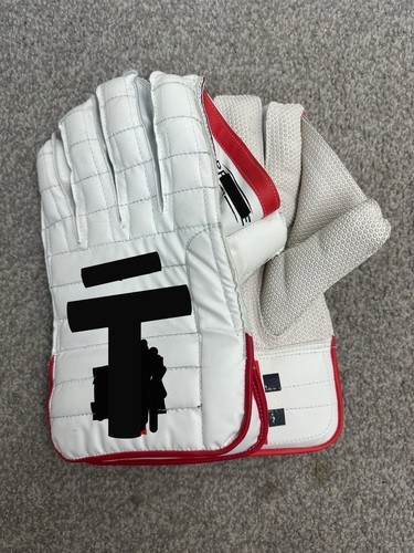 Cricket wicket keeping - keeping, gloves