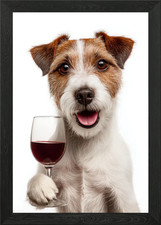Parson Russell Terrier dog