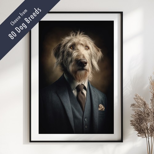 Smartly dressed dog - dog, portrait