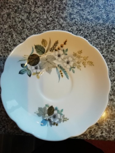 Regency english bone - bone, china