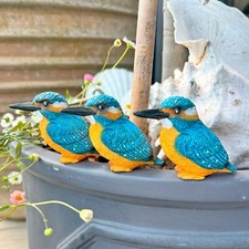 3 Pot Topping Kingfisher Bird