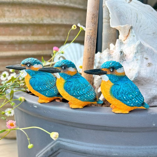Pot topping kingfisher - 3,