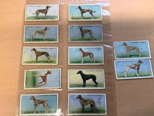 Cigarette Cards RACING