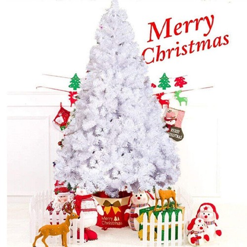 White christmas tree pine - white,