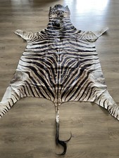 Zebra Real Skin Rug Hide Large