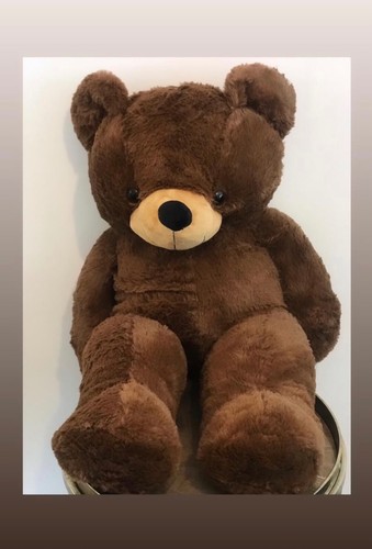 Large teddy bear giant - teddy,