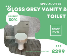 Gloss Grey Toilet & Vanity 