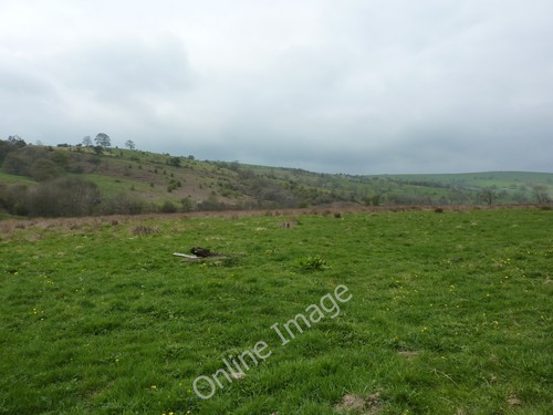Photo 12x8 pasture - pasture, land