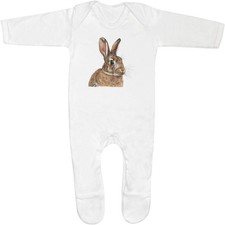 Brown bunny rabbit - 'brown, baby