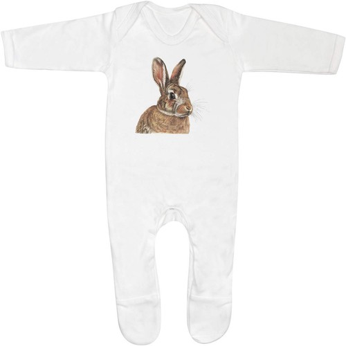 Brown bunny rabbit baby - rabbit',