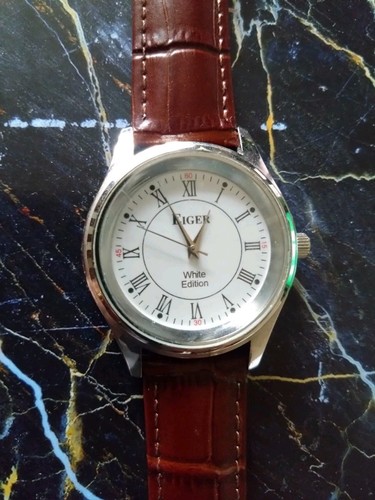 Eiger mens watch used - watch,, un