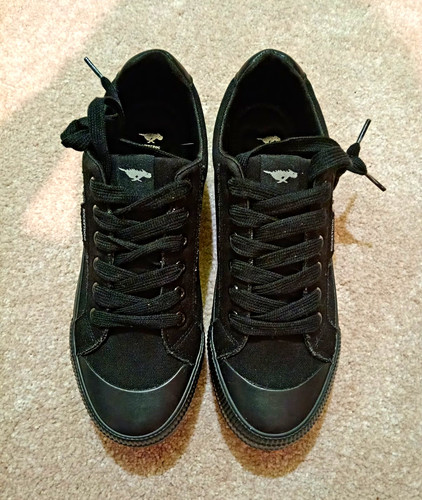 Brand new black rocket - brand, dog