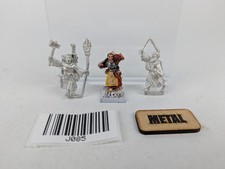 Warhammer Fantasy Battles / Old World The Empire Flagellants METAL OOP