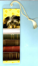 Yorkie Yorkshire Terrier Dog