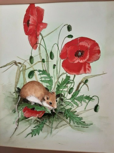 Field mouse watercolour - field,