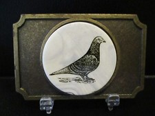 Domestic Pigeon Bird Marble &