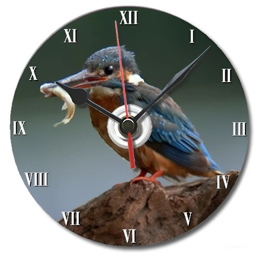 Kingfisher bird clock - bird, desk