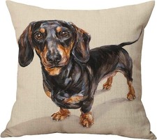 Decorative Dapple Dachshund