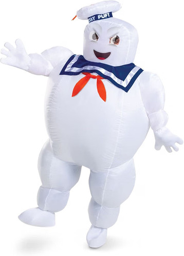 Disguise inflatable - disguise,