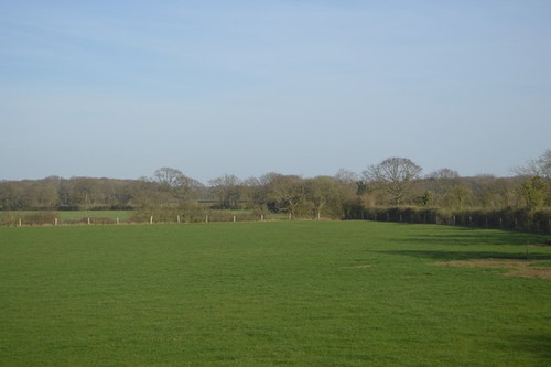 Photo 6x4 grazing - 6x4, bliby