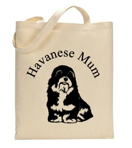 Havanese dog breed cotton