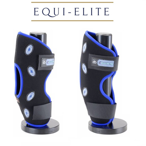 Veredus magnetik hock therapy - veredus,
