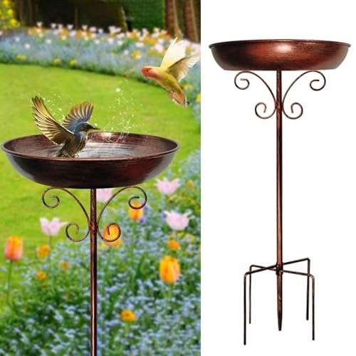 Restorgan bird bath for - bird,