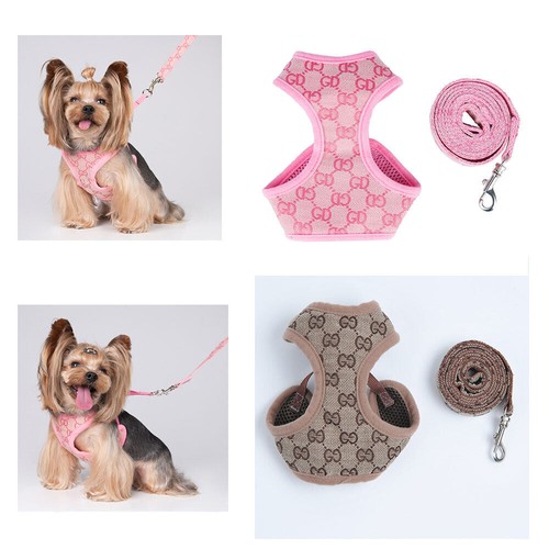 Xxxs xxs small breeds - xxxs, xs