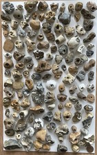 125 natural hag - 125, wicca