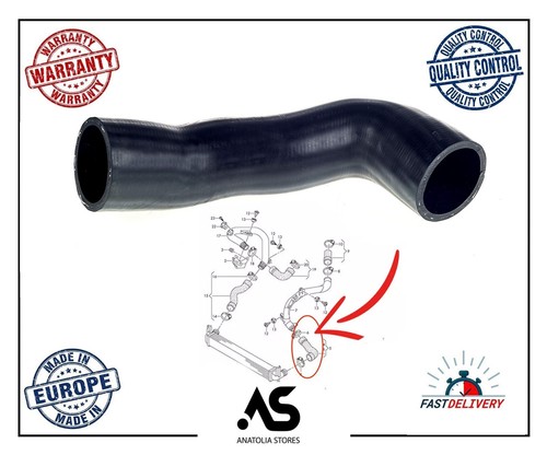 Intercooler pipe turbo - intercooler, hose