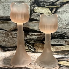 Vintage Blush Pink Tulip